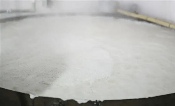 酵母發酵泡沫.png